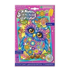 CLEVER Набор для изготовления картины Совка (АС 19-211)