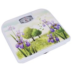 Весы механические Rolsen RSM1203