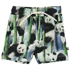 Шорты Molo Simroy 3S20H103 размер 92, 6051 panda