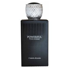 Парфюмерная вода Chris Adams Powerful, 100 мл