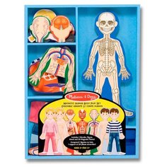 Игровой набор Melissa & Doug Человеческое тело 3589
