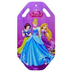 Ледянка 1 TOY Принцессы (Т58167) фиолетовый