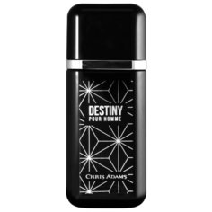 Парфюмерная вода Chris Adams Destiny, 100 мл