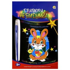 Гравюра Рыжий кот Зайчик, в конверте (Г-9441) цветная основа