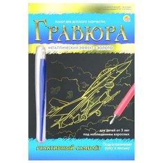 Гравюра Рыжий кот Реактивный самолет, в конверте (Г-9394) золотистая основа