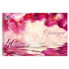 Альбом Kanzy Орхидеи 29.7 х 21 см (A4), 100 г/м², 40 л.