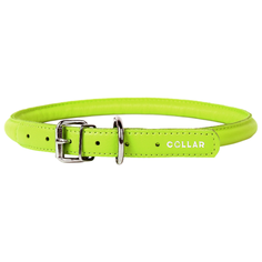 Ошейник COLLAR Glamour круглый 2241 25-33 см лайм