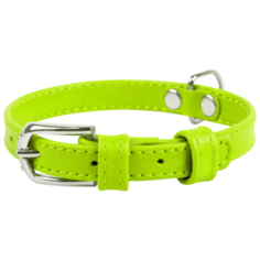 Ошейник COLLAR Glamour без украшений 3270 27-36 см лайм