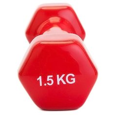 Гантель цельнолитая BRADEX SF 0271/SF 0272 1.5 кг красный