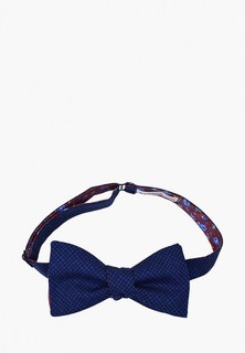 Бабочка Rainbowtie