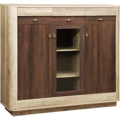 Шкаф комбинированный Олимп 34.07 фантазия дуб каньон / дуб кальяри / профиль дуб каньон / профиль дуб кальяри / ДВПО венге / стекло Olimp