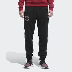 Штаны ФК Амкал adidas Performance
