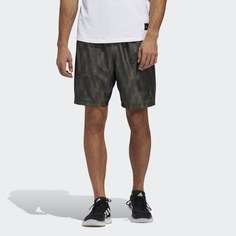 Шорты City Knit adidas Performance
