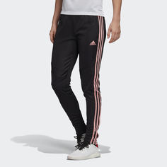 Брюки Tiro 19 Training adidas Performance