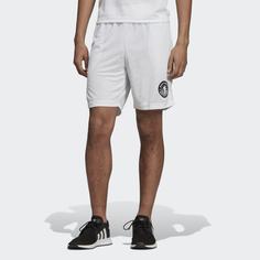 Шорты NTS adidas Originals