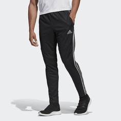 Брюки Tiro 19 Training adidas Performance