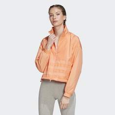 Олимпийка Large Logo adidas Originals