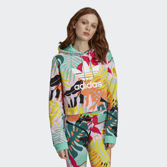 Укороченная худи Tropicalage adidas Originals