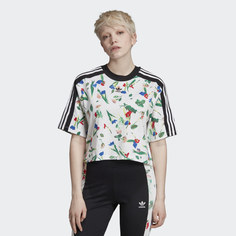 Укороченная футболка Allover Print adidas Originals