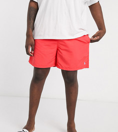 Красные шорты для плавания с логотипом Polo Ralph Lauren Big & Tall-Красный