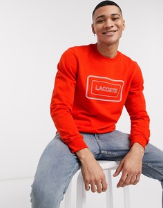Красный свитшот со светоотражающим логотипом на груди Lacoste
