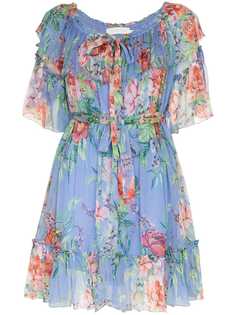 Zimmermann ZIM PRIMA FRILL MINI DRS CCORNFLWR FLRL