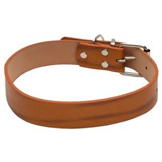 Ошейник Пижон с подкладом из