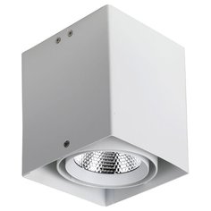 Спот Favourite Flashled 1986-1U