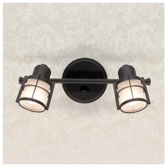 Спот Citilux Реймс CL563521