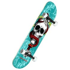 Скейтборд Powell Peralta Skull