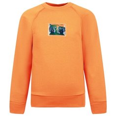 Свитшот N° 21