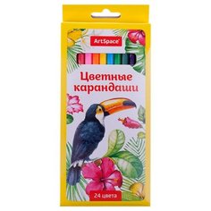 ArtSpace Карандаши цветные
