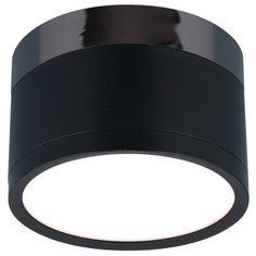 Спот Elektrostandard DLR029 10W