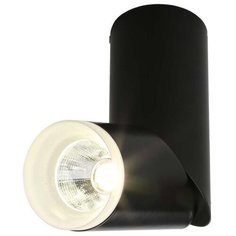 Спот Omnilux OML-100219-10