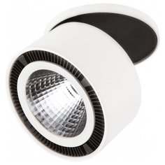 Спот Lightstar Forte Inca 213806