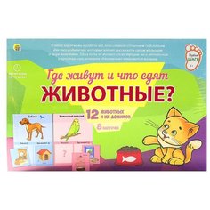 Настольная игра Рыжий кот Где