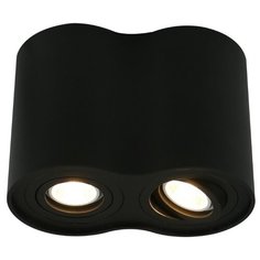 Спот Arte Lamp Falcon A5644PL-2BK