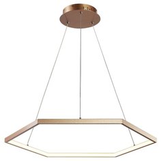 Светильник светодиодный Favourite