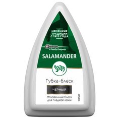 Salamander Shoe Shine