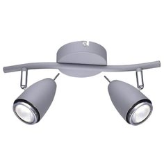 Спот Arte Lamp Regista A1966AP-2GY