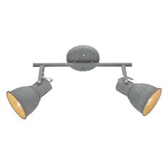 Спот Arte Lamp A1677PL-2GY