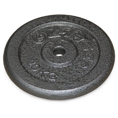 Диск Larsen NT118 31 мм 20 кг черный