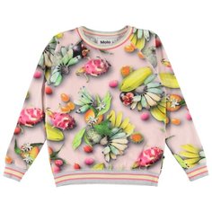 Свитшот Molo размер 92, розовый/желтый/зеленый