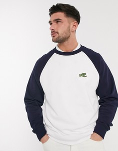 Белый/темно-синий свитшот с рукавами реглан и логотипом Lacoste