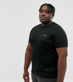 Черная футболка с круглым вырезом и логотипом Lacoste-Черный