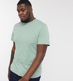 Зеленая футболка из органического хлопка с круглым вырезом ASOS DESIGN Plus-Зеленый