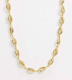 Позолоченное ожерелье с ракушками Orelia-Золотой
