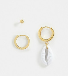 Эксклюзивный набор серег с ракушкой Orelia-Золотой