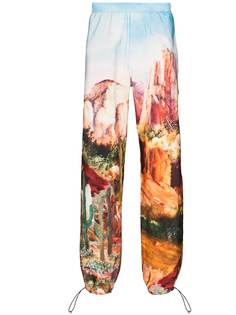 Palm Angels Canyon print track pants