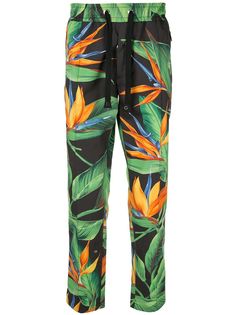 Dolce & Gabbana спортивные брюки с принтом Bird of Paradise